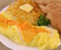 Senior's Three Cheese Omelette
